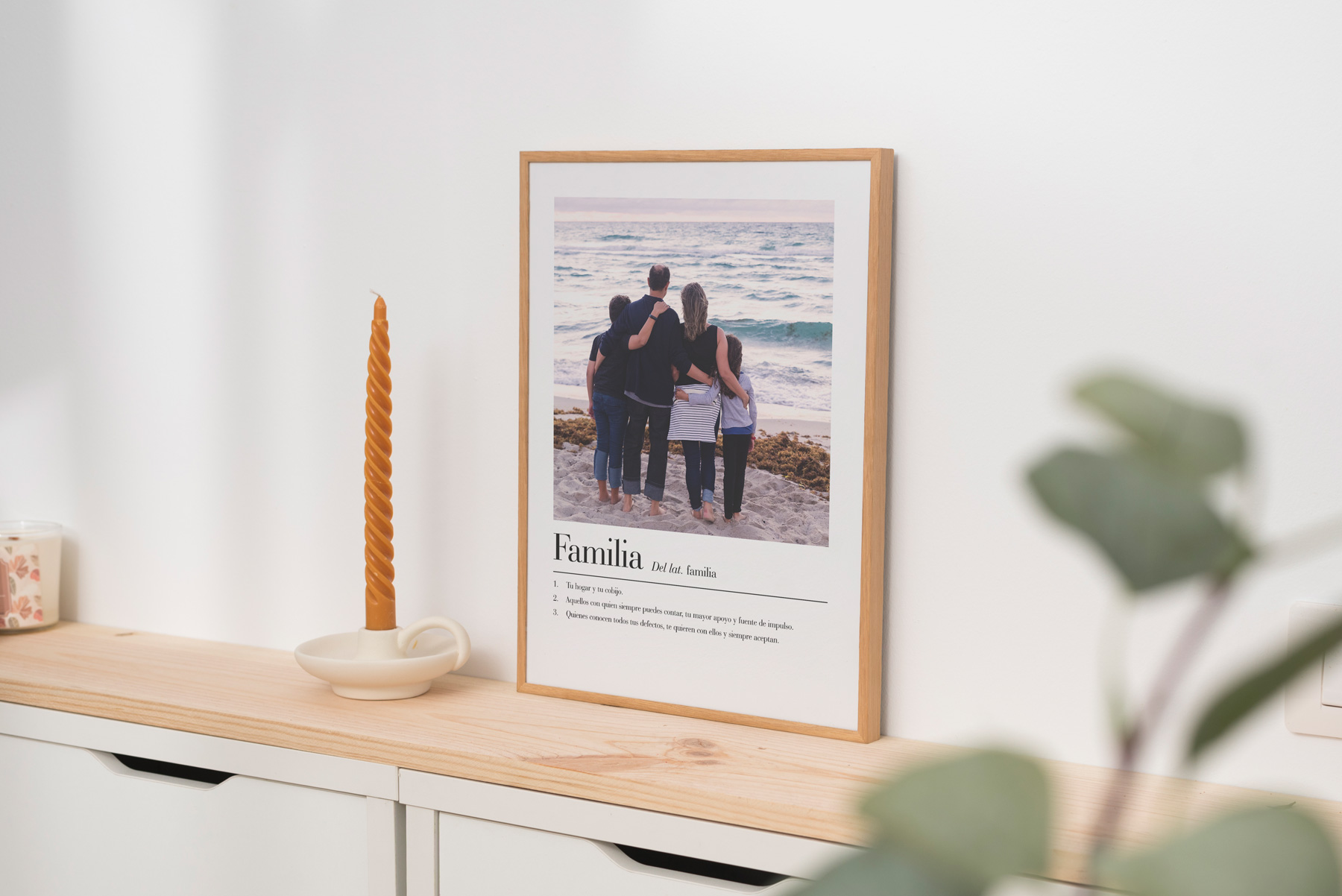 Lamina-significado-familia